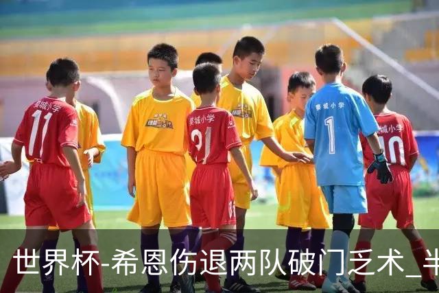 世界杯-希恩伤退两队破门乏术 半场日本0-0瑞典